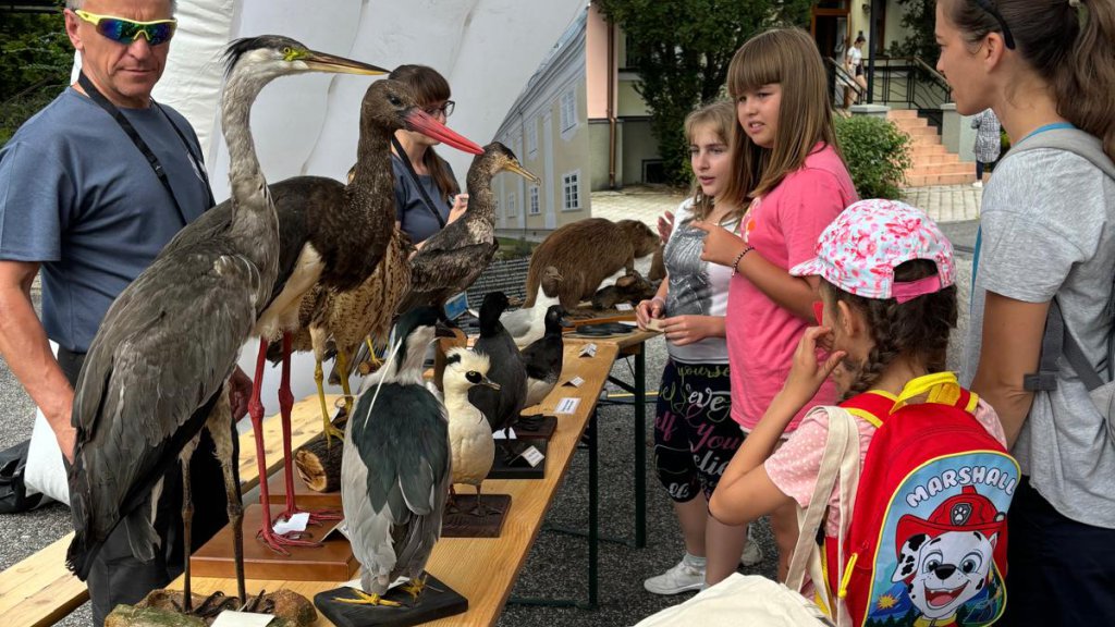 Children at Danube Day event