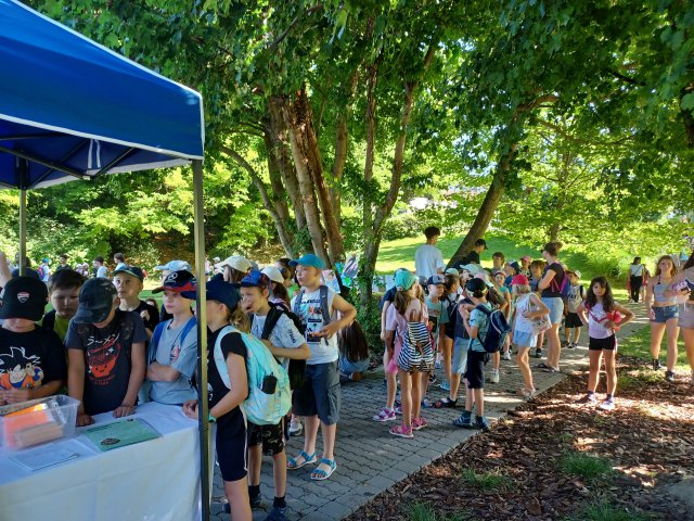 A large group of children stands under a tree, waiting to see what the Danube Day tent has to offer. 
