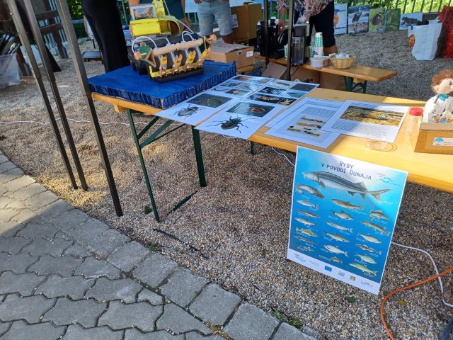 Posters showcasing different Danubian creatures.