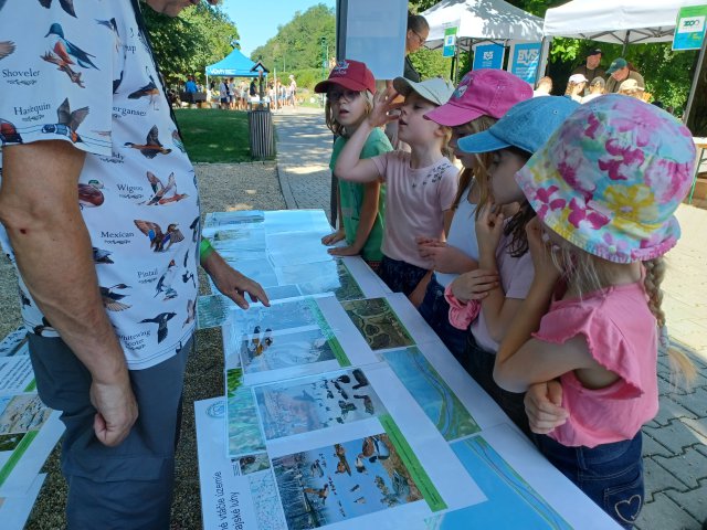 Five children look at posters about wildlife around the Danube. 