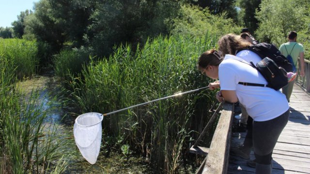 People lean over a bridge and fish.