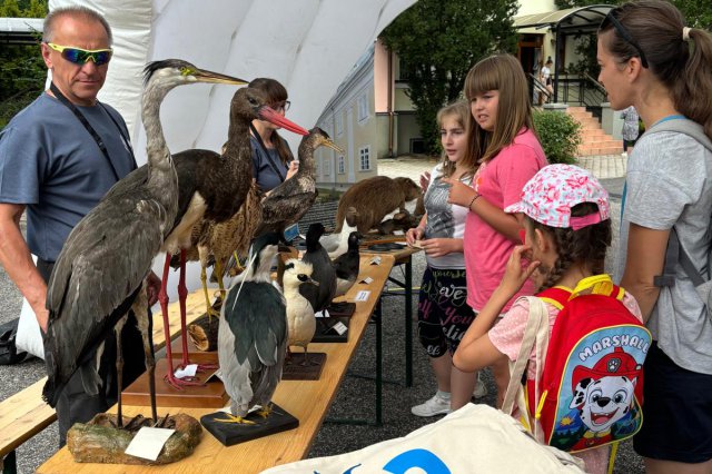 Children at Danube Day event