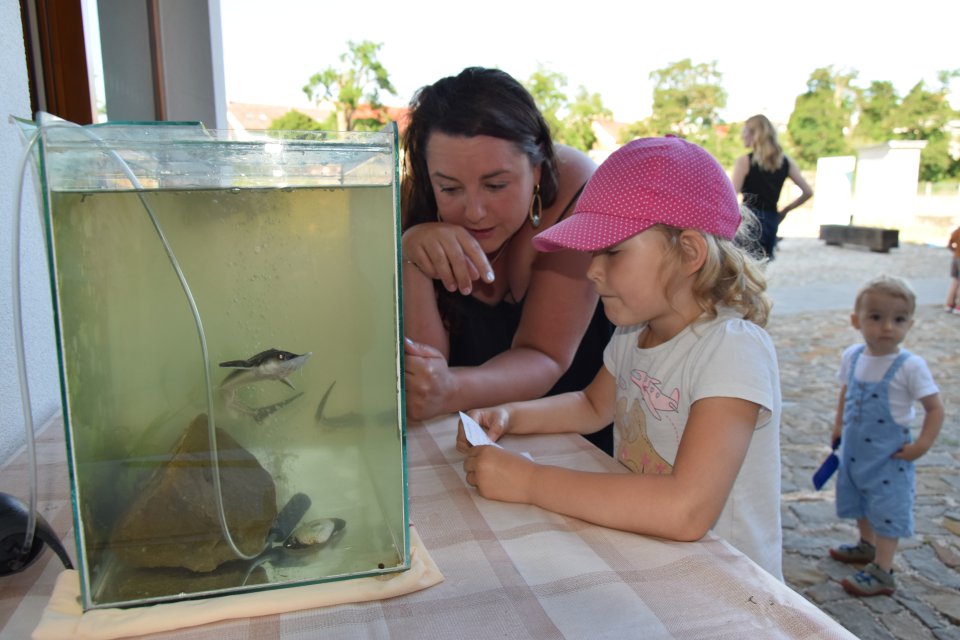 Young girl and a woman look at a sturgeon